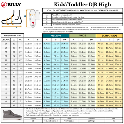 Silver Multi Glitter BILLY Classic D|R II High